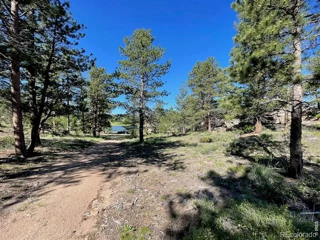3086 Fox Acres Drive E Red Feather Lakes, CO 80545