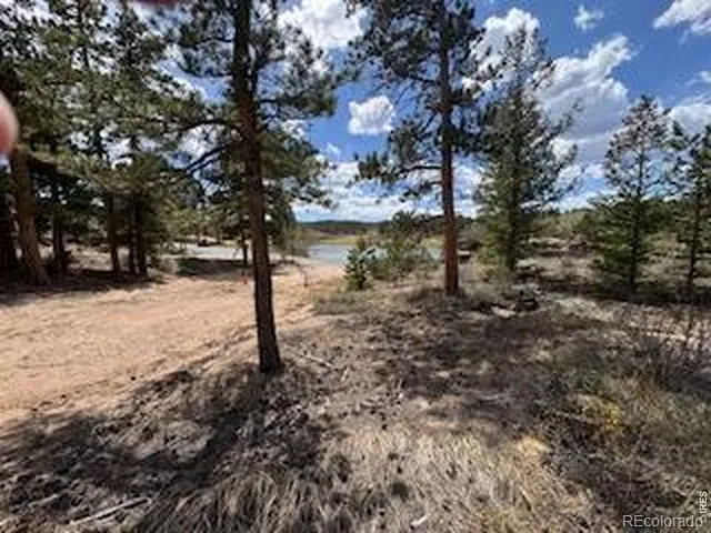 3086 Fox Acres Drive E Red Feather Lakes, CO 80545