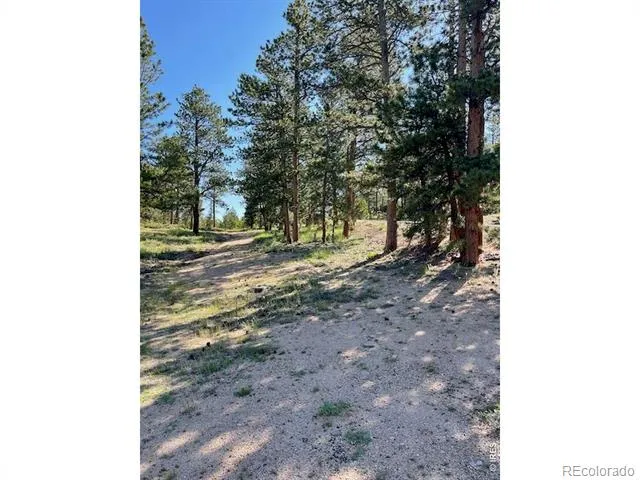 3086 Fox Acres Drive E Red Feather Lakes, CO 80545
