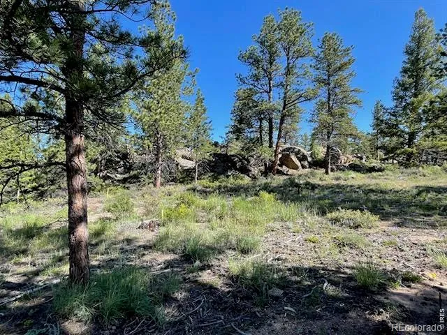3086 Fox Acres Drive E Red Feather Lakes, CO 80545