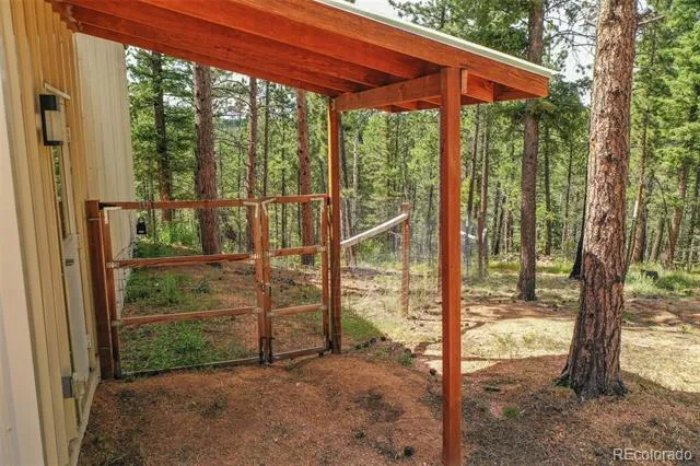449 Woody Creek Road Florissant, CO 80816