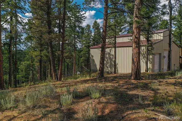 449 Woody Creek Road Florissant, CO 80816