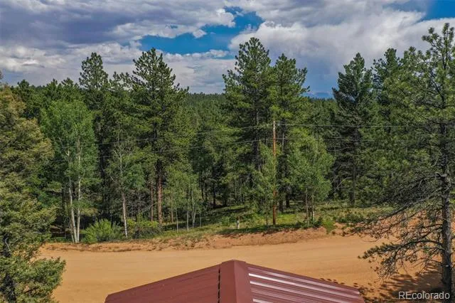449 Woody Creek Road Florissant, CO 80816