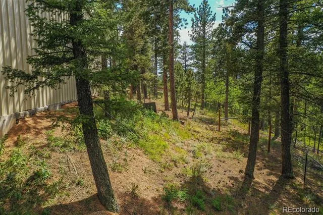 449 Woody Creek Road Florissant, CO 80816