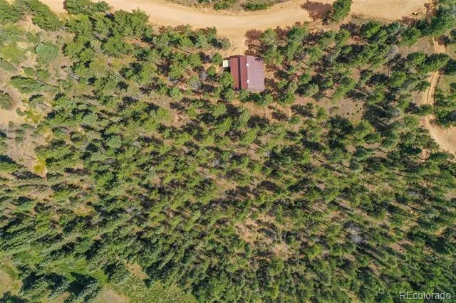 449 Woody Creek Road Florissant, CO 80816
