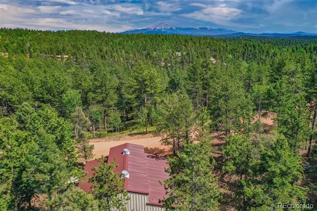 449 Woody Creek Road Florissant, CO 80816