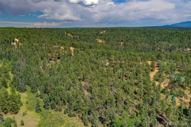 449 Woody Creek Road Florissant, CO 80816