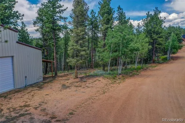449 Woody Creek Road Florissant, CO 80816