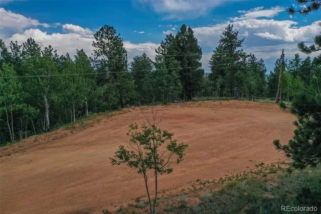 449 Woody Creek Road Florissant, CO 80816