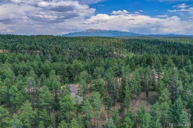 449 Woody Creek Road Florissant, CO 80816