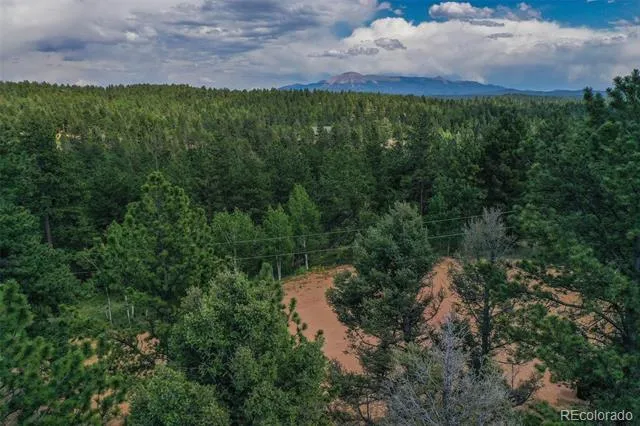 449 Woody Creek Road Florissant, CO 80816