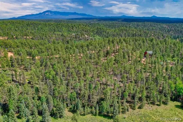 449 Woody Creek Road Florissant, CO 80816