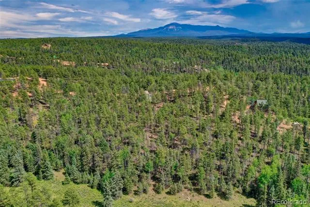 449 Woody Creek Road Florissant, CO 80816
