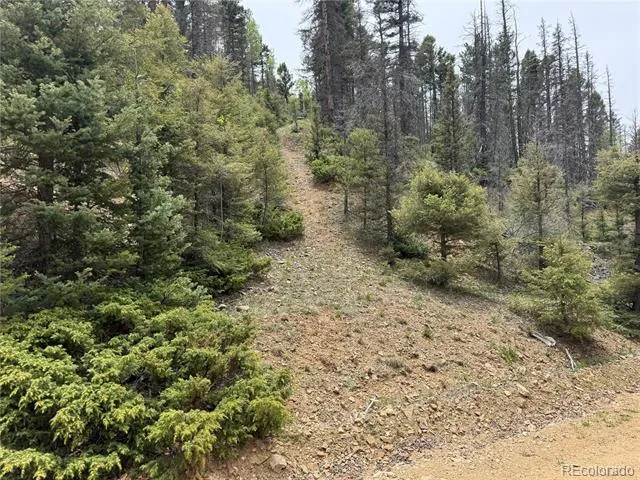 Lot 6795 Starkweather Road Fort Garland, CO 81133