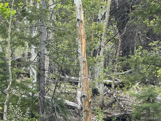 Lot 6795 Starkweather Road Fort Garland, CO 81133