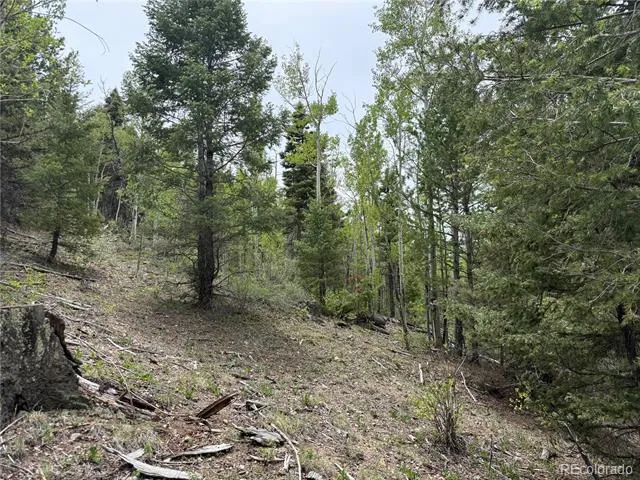 Lot 6795 Starkweather Road Fort Garland, CO 81133