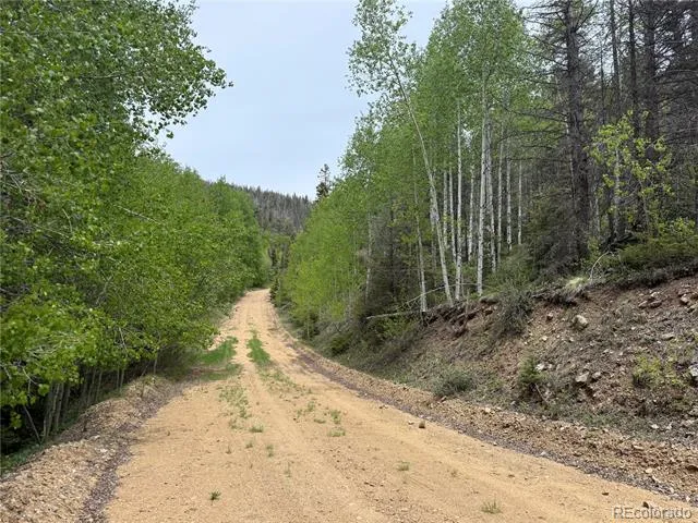 Lot 6795 Starkweather Road Fort Garland, CO 81133