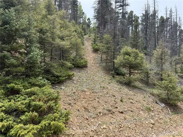 Lot 6795 Starkweather Road Fort Garland, CO 81133