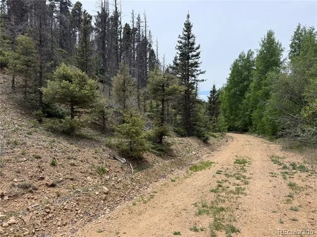 Lot 6795 Starkweather Road Fort Garland, CO 81133