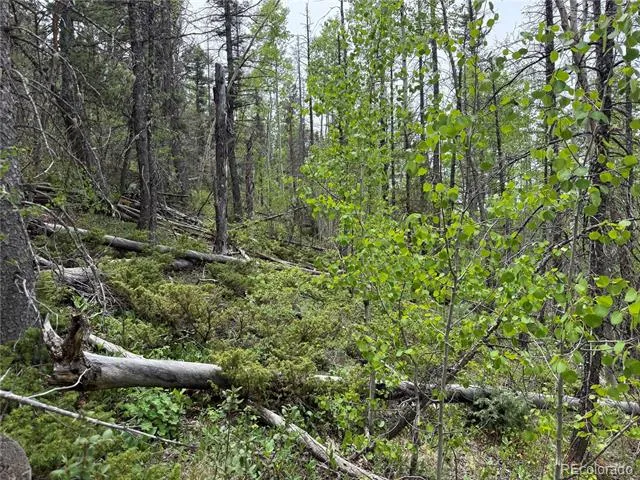 Lot 6795 Starkweather Road Fort Garland, CO 81133