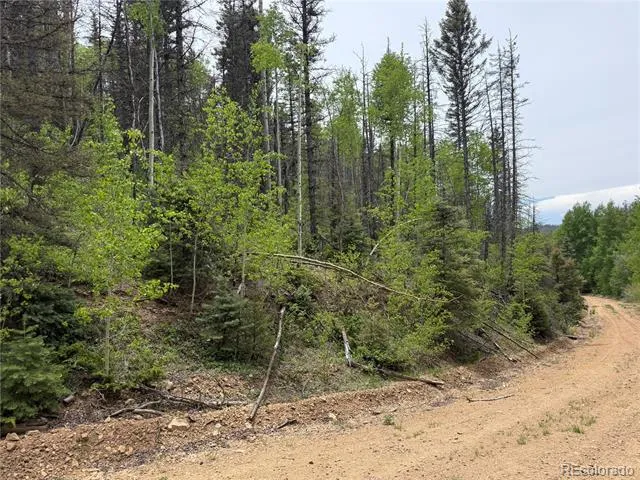 Lot 6795 Starkweather Road Fort Garland, CO 81133