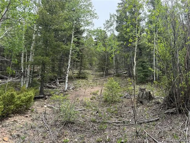 Lot 6795 Starkweather Road Fort Garland, CO 81133
