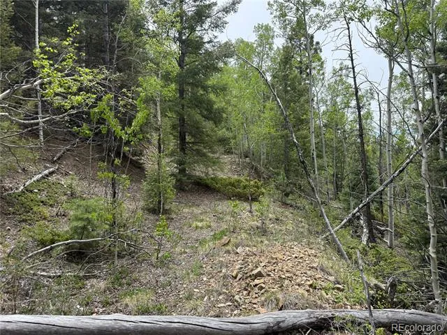 Lot 6795 Starkweather Road Fort Garland, CO 81133