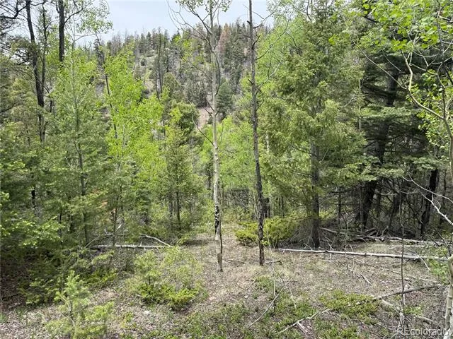 Lot 6795 Starkweather Road Fort Garland, CO 81133