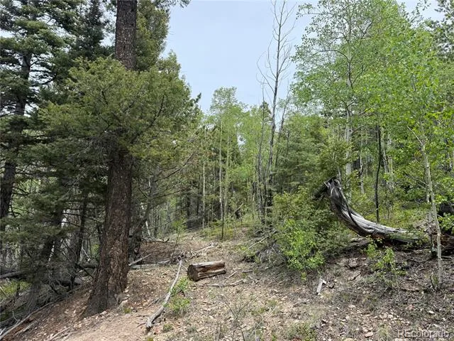 Lot 6795 Starkweather Road Fort Garland, CO 81133
