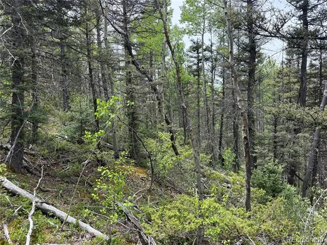 Lot 6795 Starkweather Road Fort Garland, CO 81133