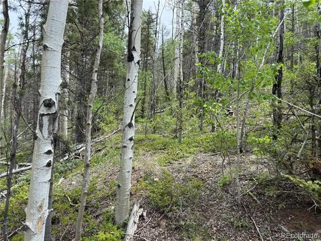 Lot 6795 Starkweather Road Fort Garland, CO 81133
