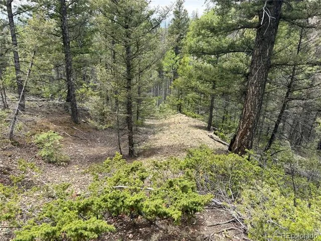Lot 6795 Starkweather Road Fort Garland, CO 81133