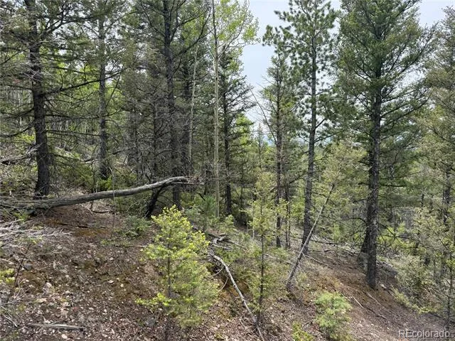 Lot 6795 Starkweather Road Fort Garland, CO 81133