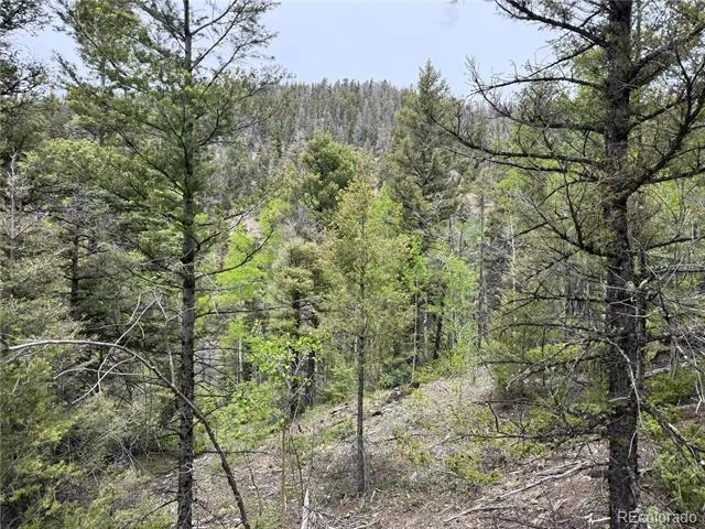 Lot 6795 Starkweather Road Fort Garland, CO 81133