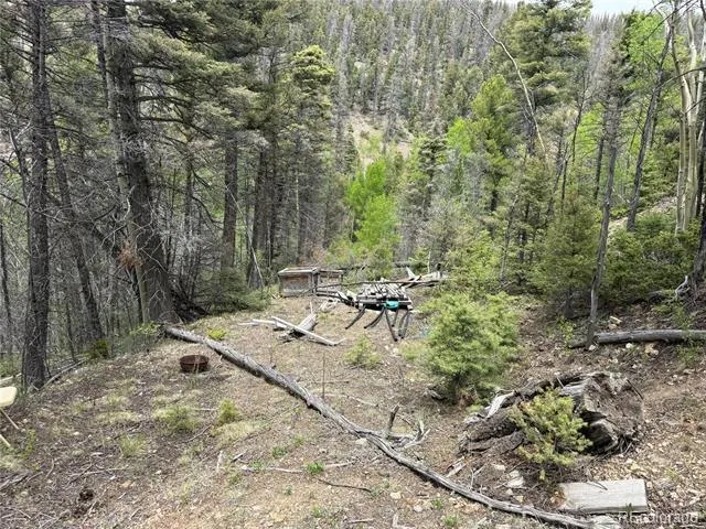 Lot 6795 Starkweather Road Fort Garland, CO 81133