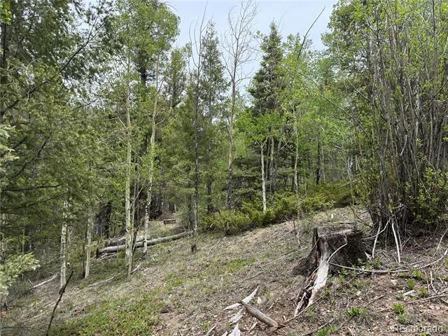 Lot 6795 Starkweather Road Fort Garland, CO 81133