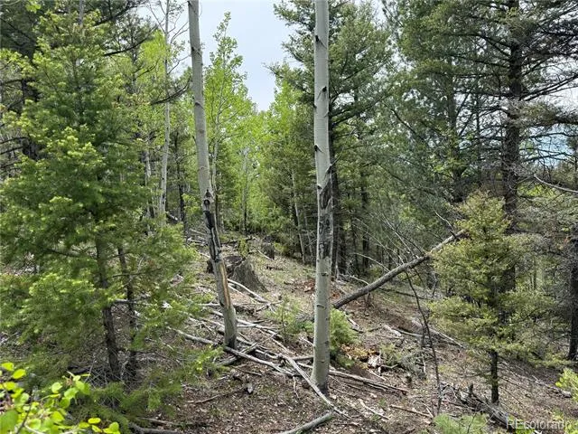 Lot 6795 Starkweather Road Fort Garland, CO 81133