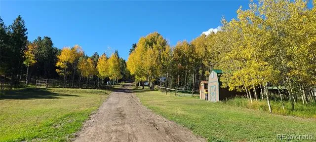 Address Not Shown Bailey, CO 80421