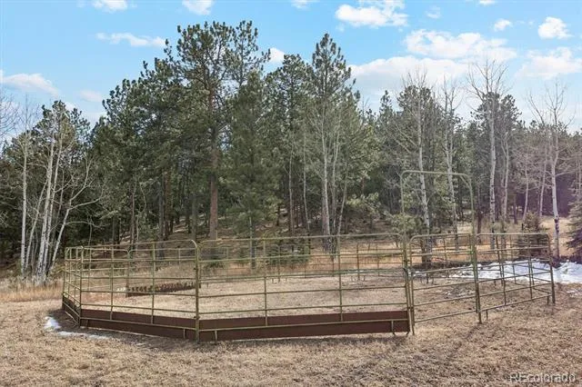 Address Not Shown Bailey, CO 80421