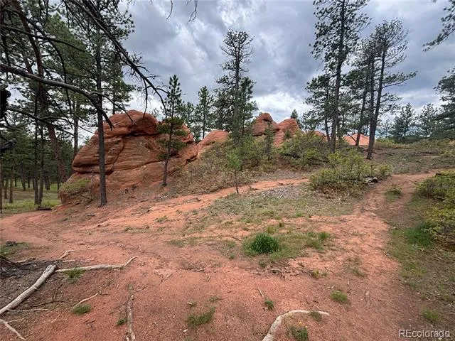 4356 Elati Road Larkspur, CO 80118