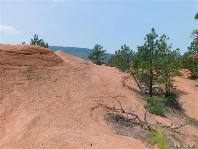 4356 Elati Road Larkspur, CO 80118