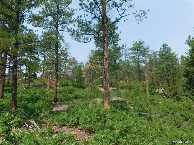 4356 Elati Road Larkspur, CO 80118