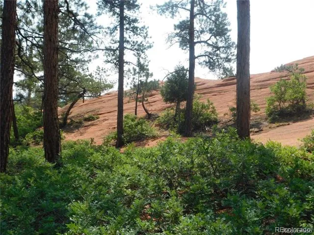 4356 Elati Road Larkspur, CO 80118