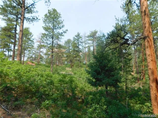 4356 Elati Road Larkspur, CO 80118