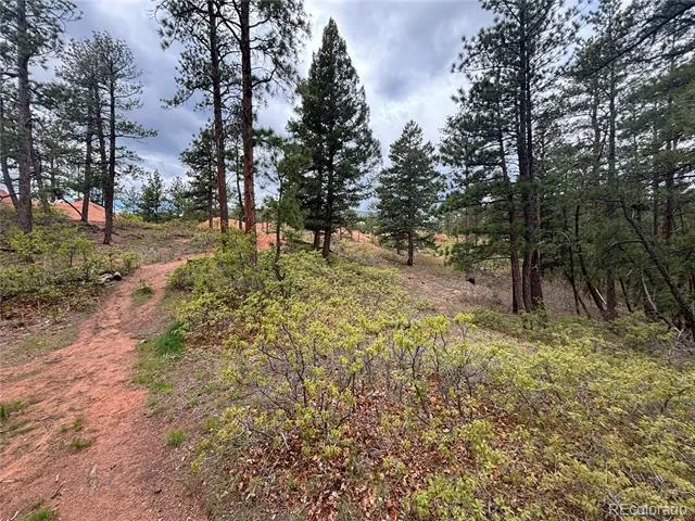 4356 Elati Road Larkspur, CO 80118