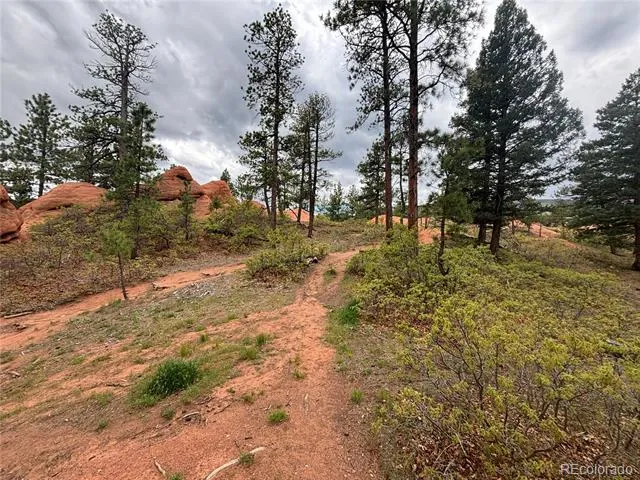 4356 Elati Road Larkspur, CO 80118