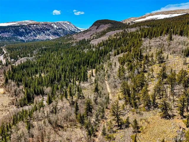 270 Co Rd 667 Fairplay, CO 80440
