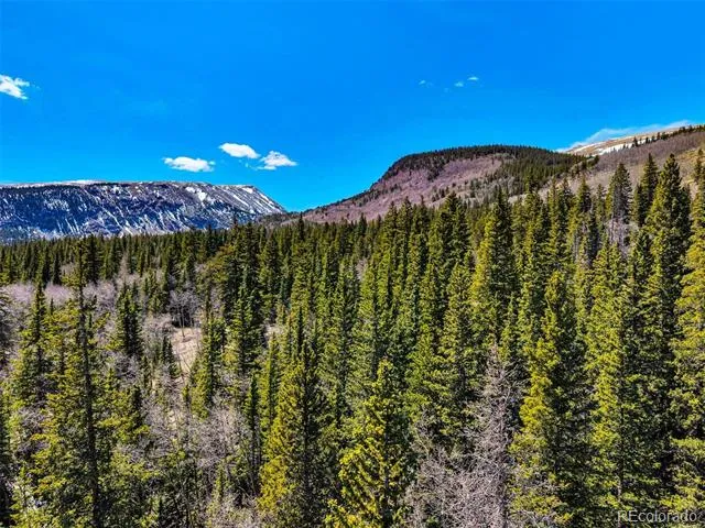 270 Co Rd 667 Fairplay, CO 80440