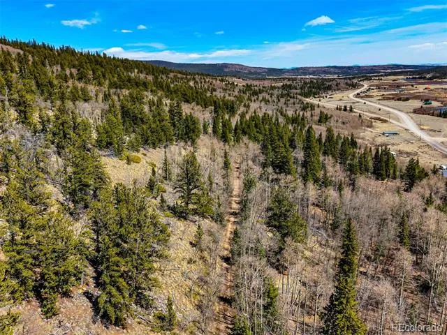 270 Co Rd 667 Fairplay, CO 80440