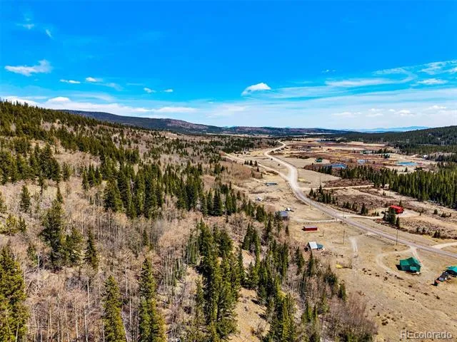 270 Co Rd 667 Fairplay, CO 80440